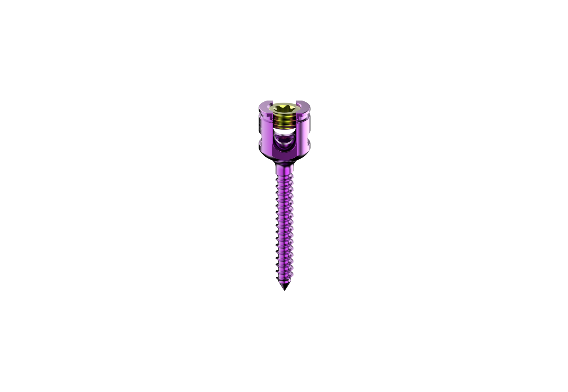 Polyaxial Screw Spine Screw